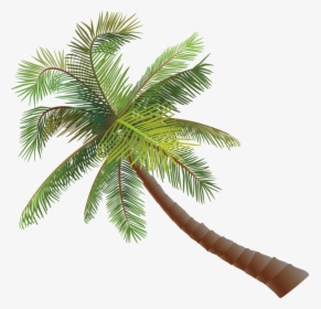 Asian Palmyra Palm Coconut Euclidean Vector - Pohon Kelapa Vektor, HD Png Download, Transparent PNG