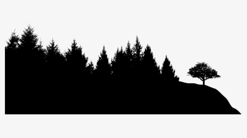 Roblox Dark Forest Background