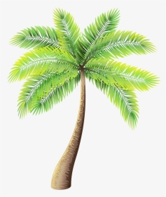 Clip Art Palm Trees Portable Network Graphics Image - Transparent Palm Tree Png, Png Download, Transparent PNG