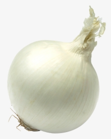 Single Onion Png Free Download Yellow Onion - Single Vegetable Photo Hd, Transparent Png, Transparent PNG