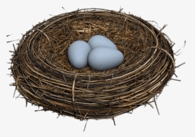 Eggs In Bird Nest - Bird Nest Transparent Background, HD Png Download, Transparent PNG