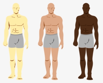 Mens Body Clip Art , Png Download - Areas To Spray Cologne, Transparent Png, Transparent PNG