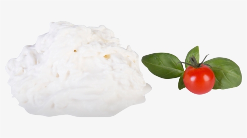 Stracciatella - Cherry Tomatoes, HD Png Download, Transparent PNG