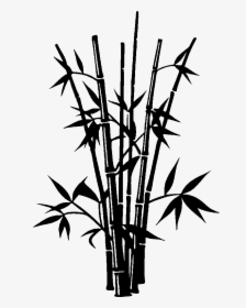 Bamboo Drawing Silhouette - Transparent Bamboo Silhouette Png, Png Download, Transparent PNG