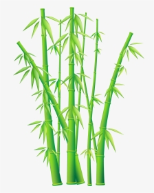 Bamboo Png, Transparent Png, Transparent PNG