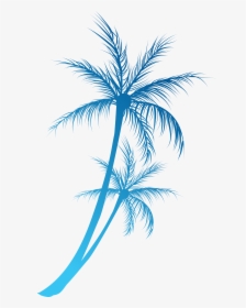 Arecaceae Royalty Free Clip - Blue Palm Tree Png, Transparent Png, Transparent PNG