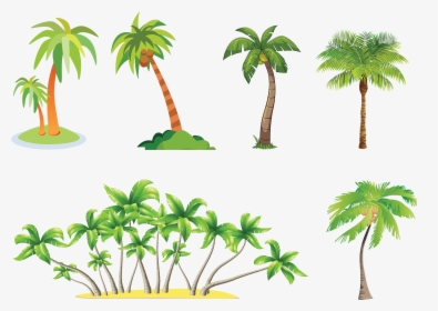 Clipart Palm Tree With Coconuts, HD Png Download, Transparent PNG