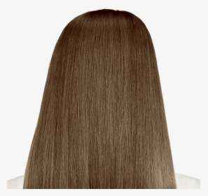 Transparent Hair Png Transparent - Veneto Light Brown Hair, Png Download, Transparent PNG