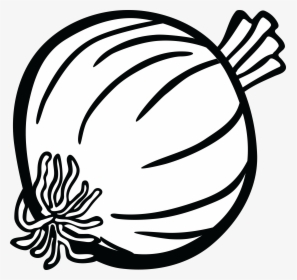 Onion Clipart Onoin - Onion Black And White Clipart, HD Png Download, Transparent PNG