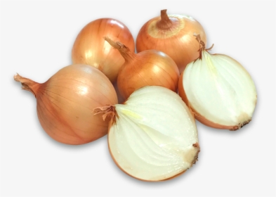 Onions - Cebollas Png, Transparent Png, Transparent PNG