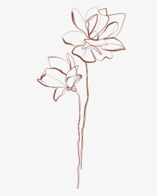 Lily, HD Png Download, Transparent PNG