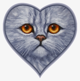 Sad Kitty, HD Png Download, Transparent PNG