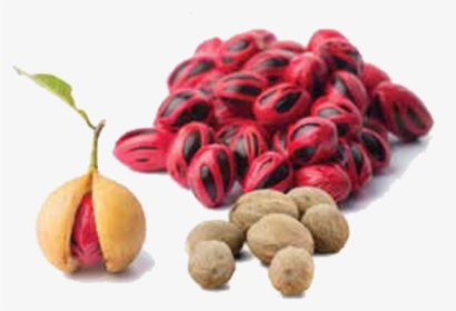 Raw Nutmeg, HD Png Download, Transparent PNG