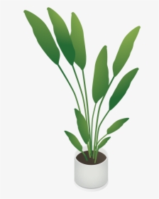 Transparent Outdoor Potted Plants Png - Isometric Plant Png, Png Download, Transparent PNG