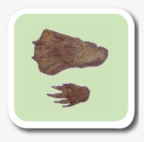 Beaver Replitrack - Roast Beef, HD Png Download, Transparent PNG
