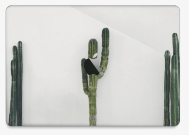 Mexican Cactus Skin Macbook Pro 13” 2016- - San Pedro Cactus, HD Png Download, Transparent PNG