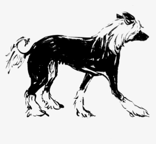 Dog Licks, HD Png Download, Transparent PNG