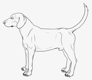 Hound Dog Lineart Cm By Galianogangster - Dog, HD Png Download, Transparent PNG