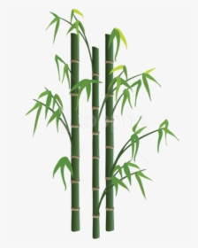 Bamboo Sticks Png - Transparent Background Bamboo Png Transparent, Png Download, Transparent PNG