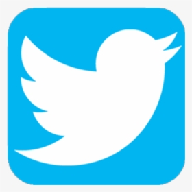 Image - Transparent Twitter Icon Png, Png Download, Transparent PNG