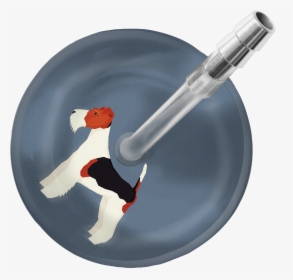 Fox Terrier Stethoscope   Class - Stethoscope Ultrascope Avec Initiales, HD Png Download, Transparent PNG