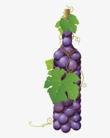 Grape Png Image  								 Title - Grapes In A Bottle, Transparent Png, Transparent PNG