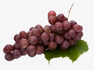 #grapes - Vitis Vinifera Extract, HD Png Download, Transparent PNG