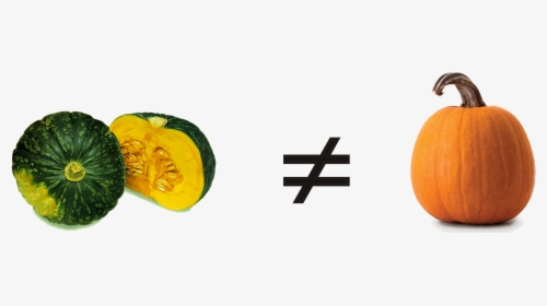 Kabokin - Squash And Pumpkin Difference, HD Png Download, Transparent PNG