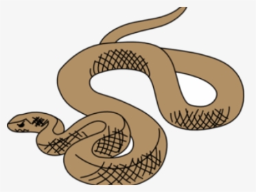 Python Clipart Pet Snake - Brown Tree Snake Drawing, HD Png Download, Transparent PNG