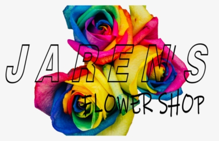 Jaren S Flower Shop - Floribunda, HD Png Download, Transparent PNG