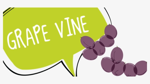 Grape Vine Website Banner, HD Png Download, Transparent PNG