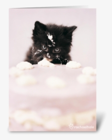 Let There Be Cake Greeting Card - Black Kitten Cake, HD Png Download, Transparent PNG