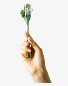 Vote With Fork - Tree, HD Png Download, Transparent PNG