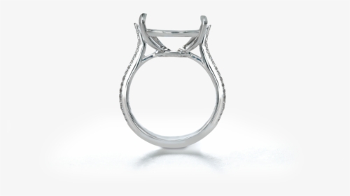 Ring Shank Graphic, HD Png Download, Transparent PNG