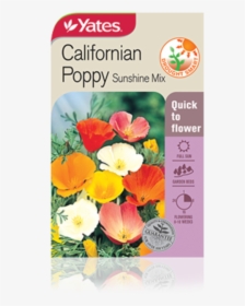 Californian Poppy Sunshine Mix - Plants For Cottage Garden Nz, HD Png Download, Transparent PNG