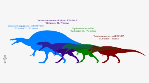 Giganotosaurus Size Comparison, HD Png Download, Transparent PNG