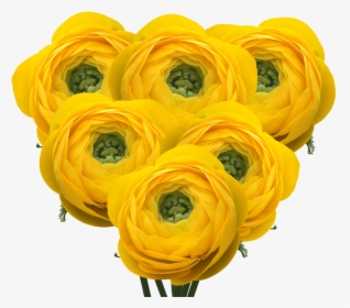 Yellow Ranunculus Flowers Wholesale Prices - Artificial Flower, HD Png Download, Transparent PNG