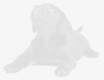 Neapolitan Mastiff , Png Download - Animal Figure, Transparent Png, Transparent PNG
