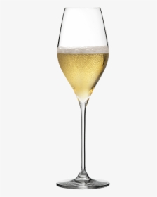 Bacci Champagne Glass, HD Png Download, Transparent PNG