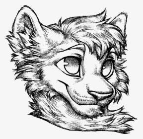 Sketch, HD Png Download, Transparent PNG