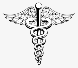 Doctor Basketball Clipart Vector Transparent Library - Caduceus Clipart, HD Png Download, Transparent PNG