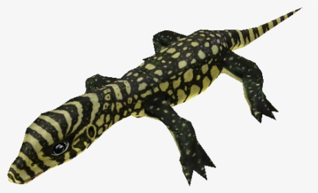 Download Zip Archive - Zoo Tycoon 2 Reptile Downloads, HD Png Download, Transparent PNG