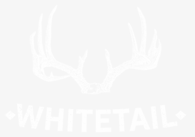 Whites Only Sign Bus, HD Png Download, Transparent PNG