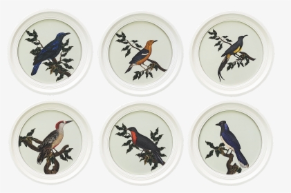 Engraving Oiseaux Buffon Round White, Set Of 6   Title - Oiseaux Buffon, HD Png Download, Transparent PNG