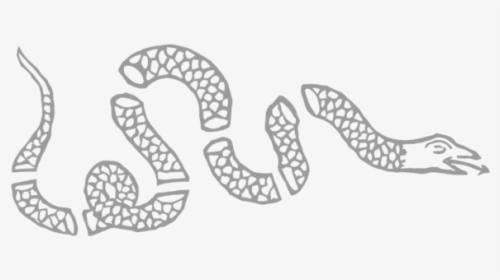 Join Or Die Snake Decal, HD Png Download, Transparent PNG