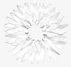 Sunflower, HD Png Download, Transparent PNG