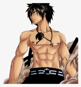 Grey Fairy Tail, HD Png Download, Transparent PNG
