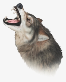 Wolf Nose Png - Cat Yawns, Transparent Png, Transparent PNG