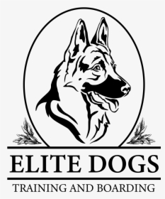 Elite Dogs Training & Boarding - German Shepherd Pencil Drawing, HD Png Download, Transparent PNG