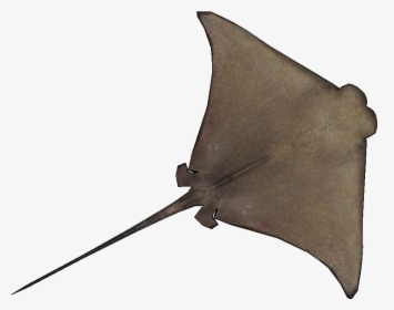 Cownose Ray Natural Design Zt2 - Cownose Ray Clipart, HD Png Download, Transparent PNG